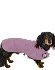 Dachshund Raincoat