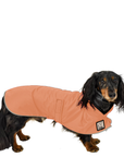 Dachshund Raincoat