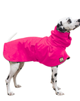 Dalmatian Raincoat