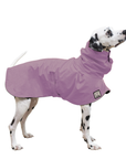 Dalmatian Raincoat