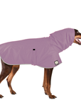 Doberman Pinscher Raincoat