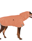 Doberman Pinscher Raincoat