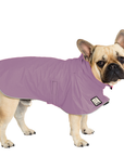 French Bulldog Raincoat