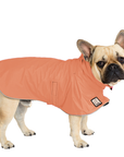 French Bulldog Raincoat