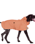 German Shorthaired Pointer Raincoat