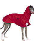 Italian Greyhound Raincoat