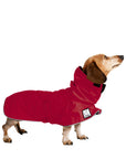 Miniature Dachshund Raincoat