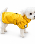 Miniature Poodle Raincoat