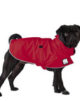 Pug Raincoat