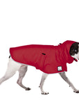 Rat Terrier Raincoat