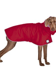 Weimaraner Raincoat