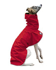 Whippet Raincoat