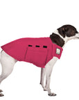 Rat Terrier Tummy Warmer