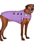 Rhodesian Ridgeback Tummy Warmer