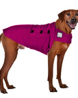 Rhodesian Ridgeback Tummy Warmer