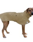 Rhodesian Ridgeback Raincoat