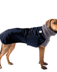 Rhodesian Ridgeback Winter Coat