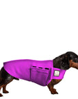 Dachshund Tummy Warmer