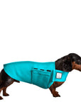 Dachshund Tummy Warmer