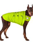 Doberman Pinscher Tummy Warmer