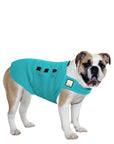English Bulldog Tummy Warmer