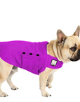 French Bulldog Tummy Warmer