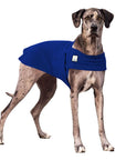 Great Dane Tummy Warmer