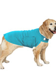 Golden Retriever Tummy Warmer