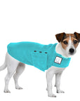 Jack Russell Terrier Tummy Warmer