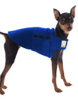 Miniature Pinscher Tummy Warmer