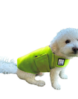 Miniature Poodle Tummy Warmer