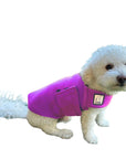 Miniature Poodle Tummy Warmer
