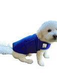 Miniature Poodle Tummy Warmer
