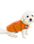 Miniature Poodle Tummy Warmer