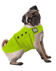 Pug Tummy Warmer