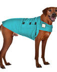 Rhodesian Ridgeback Tummy Warmer