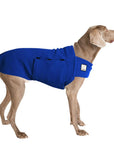 Weimaraner Tummy Warmer