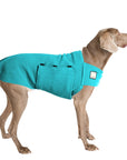 Weimaraner Tummy Warmer