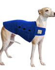 Whippet Tummy Warmer