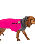Beagle Winter Coat