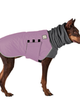 Doberman Pinscher Winter Coat