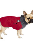 French Bulldog Winter Coat