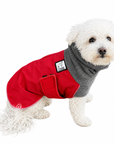 Miniature Poodle Winter Coat