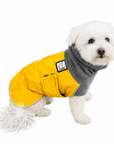 Miniature Poodle Winter Coat