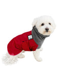 Miniature Poodle Winter Coat