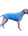 Weimaraner Cooling Coat