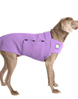 Weimaraner Tummy Warmer