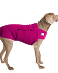 Weimaraner Tummy Warmer