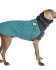 Weimaraner Winter Coat