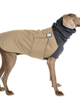 Weimaraner Winter Coat